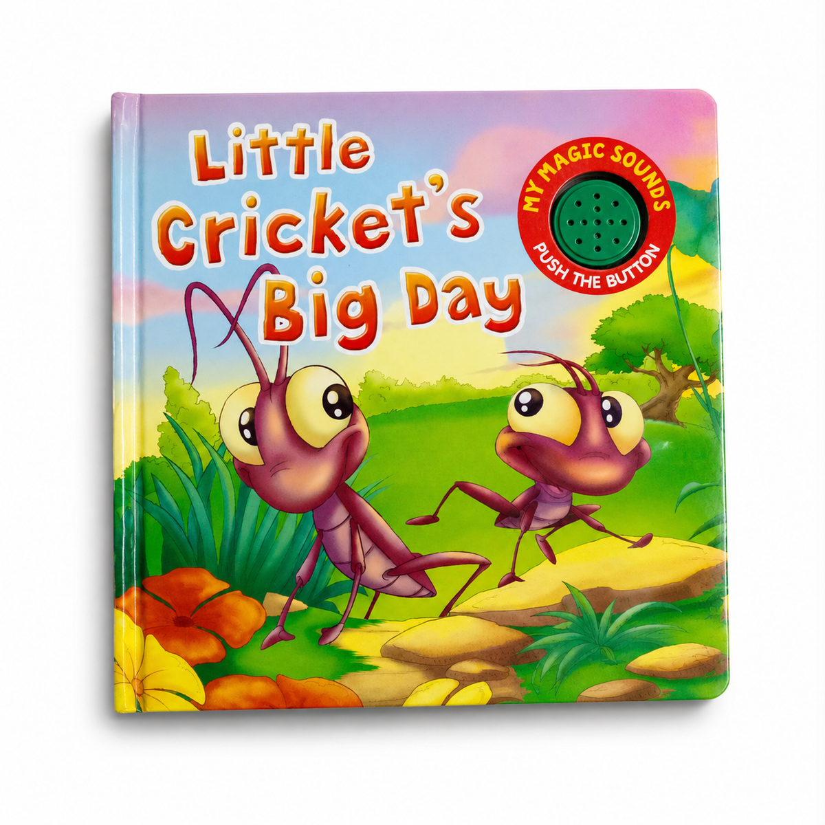 Little Cricket's Big Day