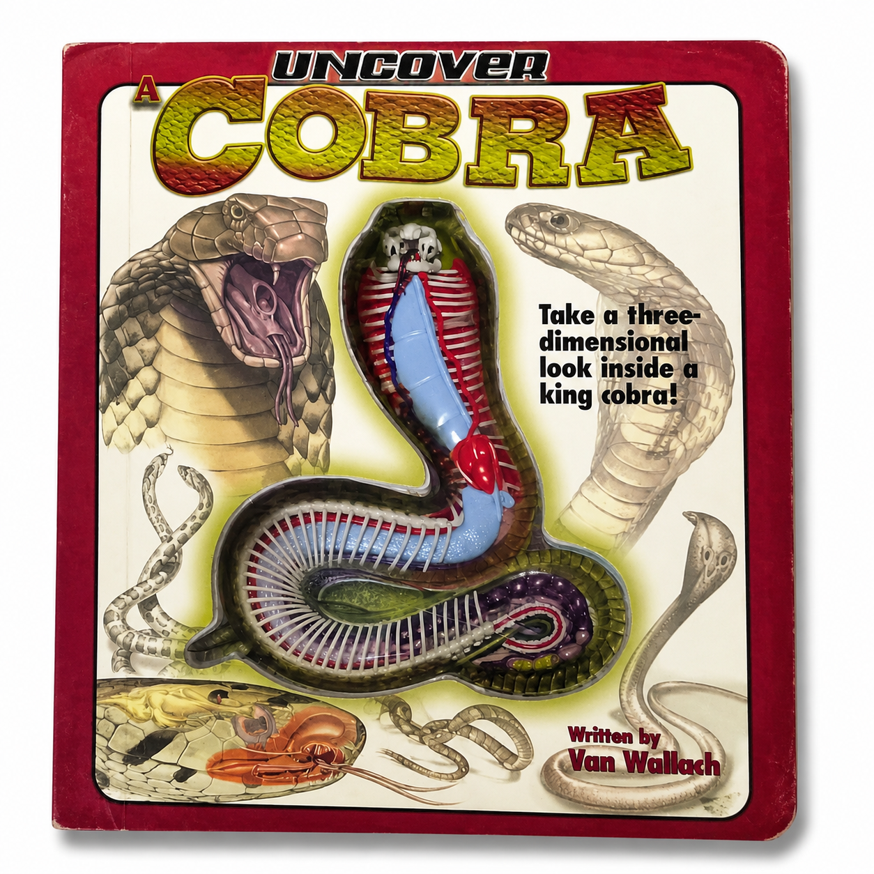 Uncover a Cobra
