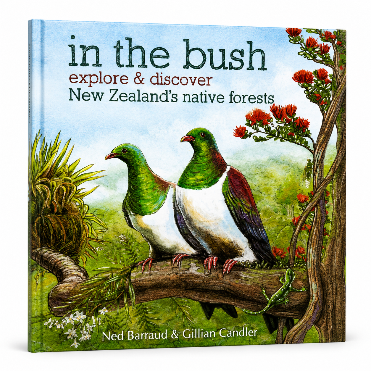 In the Bush: Explore & Discover New Zealand’s Native Forests