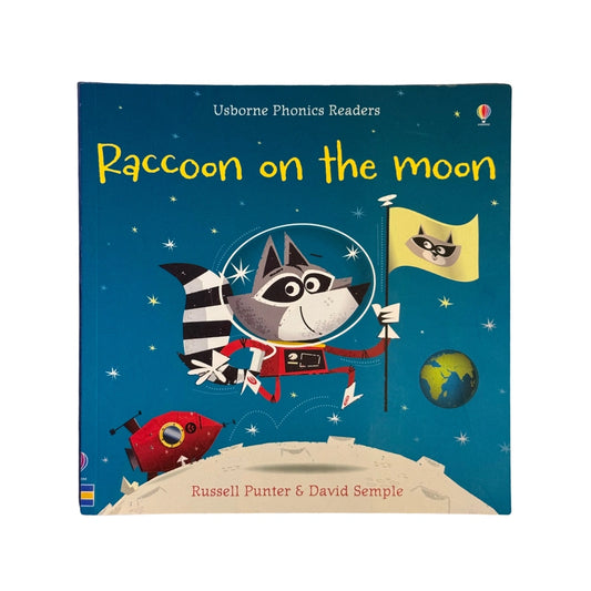 Raccoon on the Moon