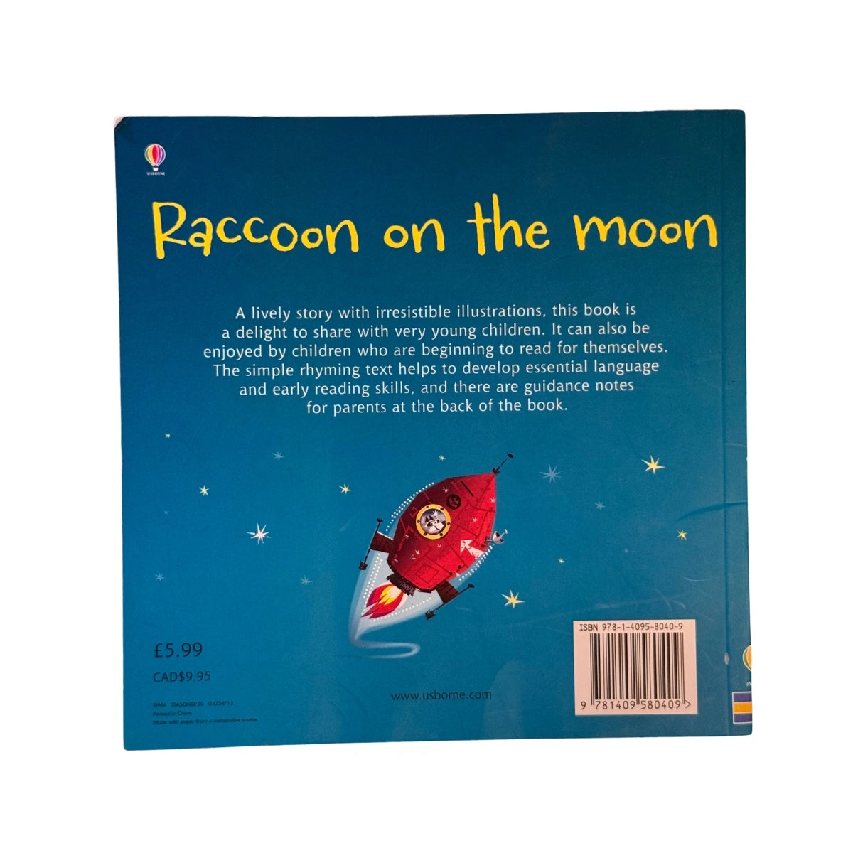 Raccoon on the Moon