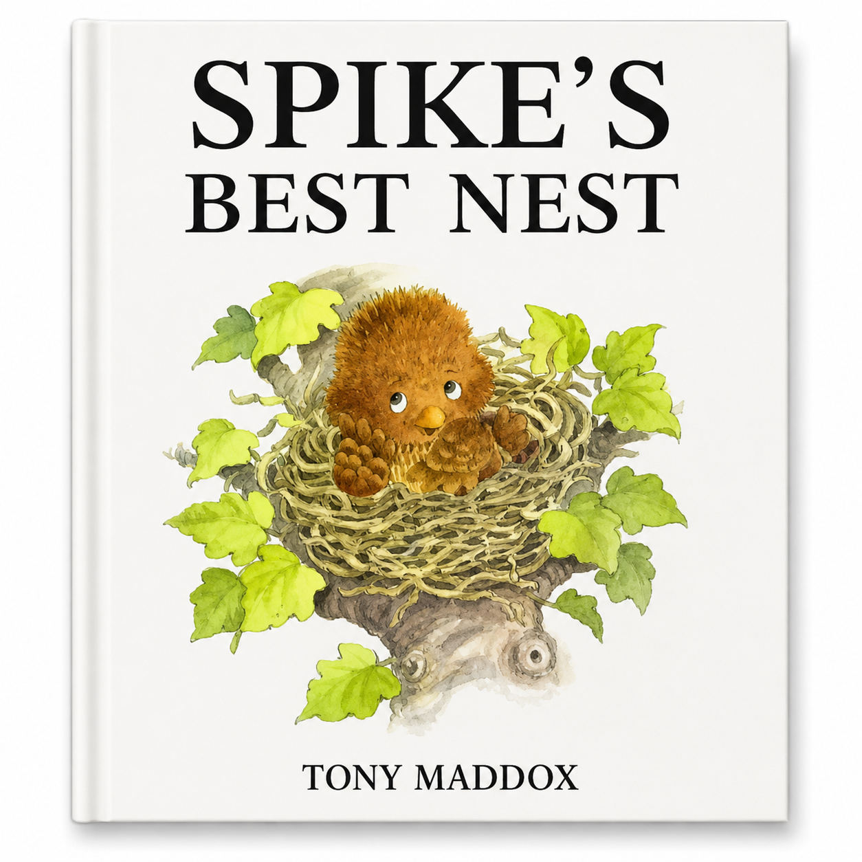 Spike's Best Nest