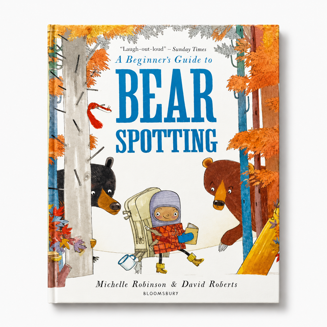 A Beginner's Guide to Bear Spotting