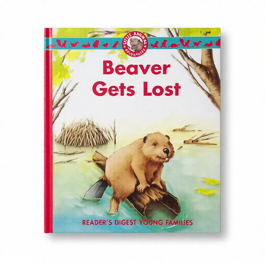 Beaver Gets Lost